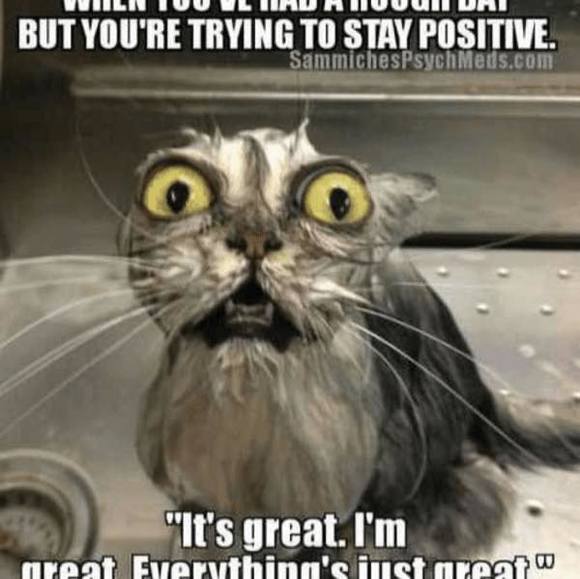 boontonkat123